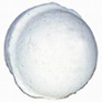 Roasted Marshmallow PICHPOSH Bath Bomb